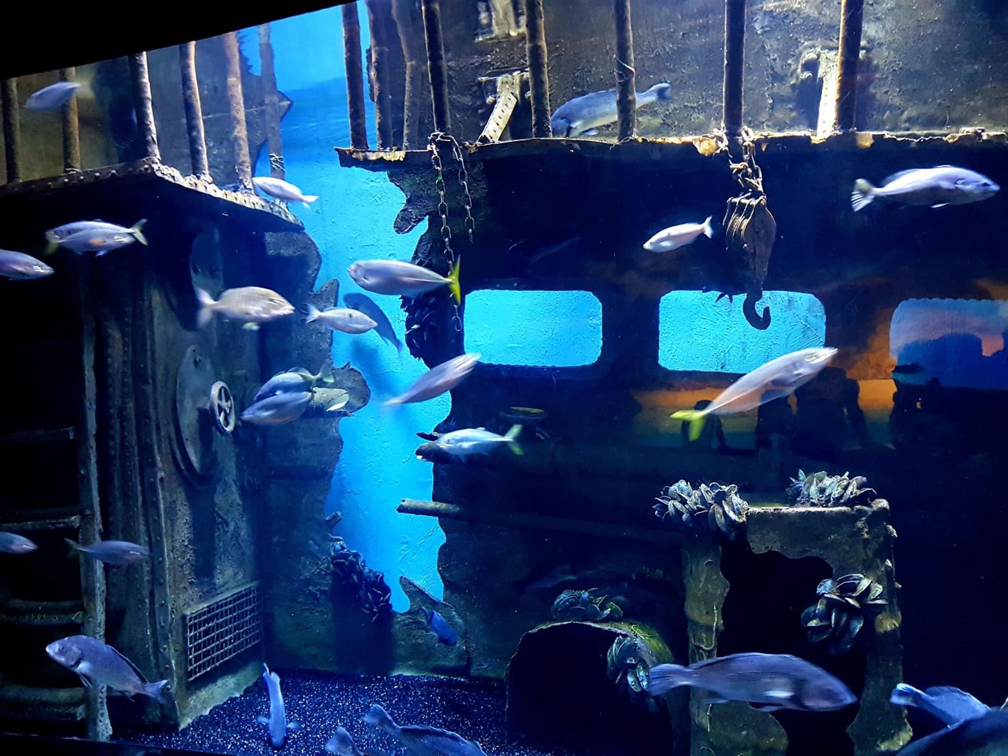 Granada City Alanya Luxury Appartment 800м от пляжа Клеопатра - Image 3