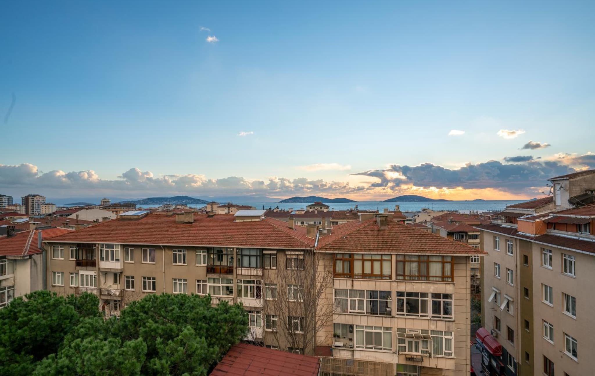 Royal Nest - Image 2