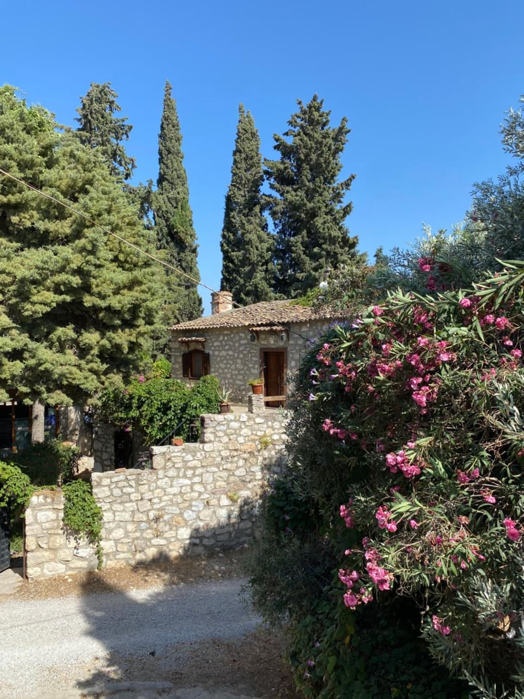 Medusa House Butik Hotel