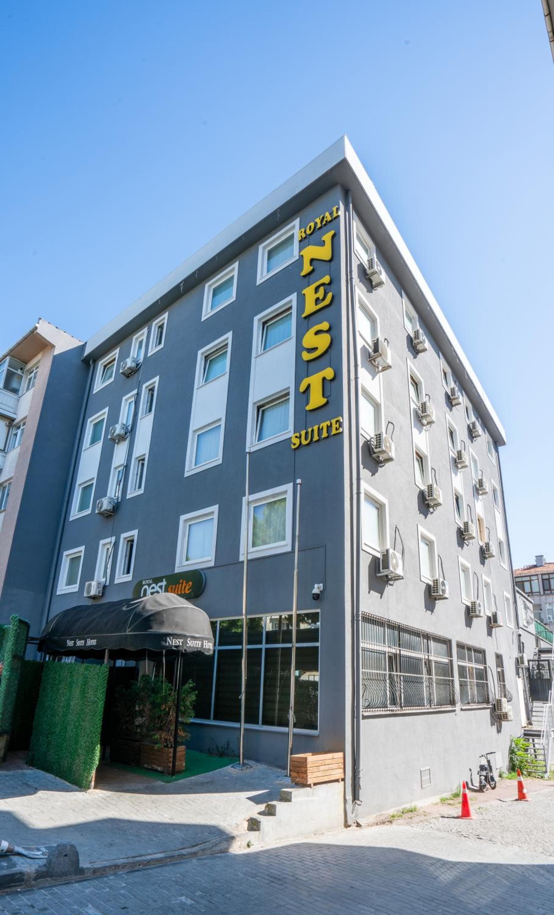 Royal Nest - Image 1