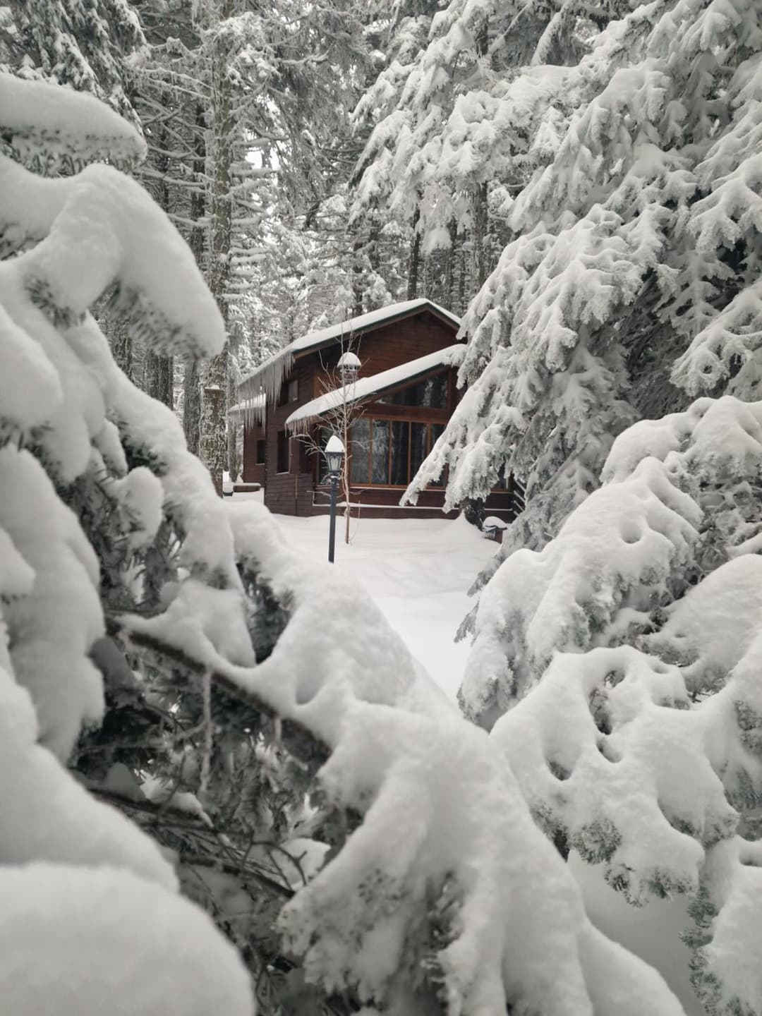 Karinna Orman Evleri & Non Alcohol