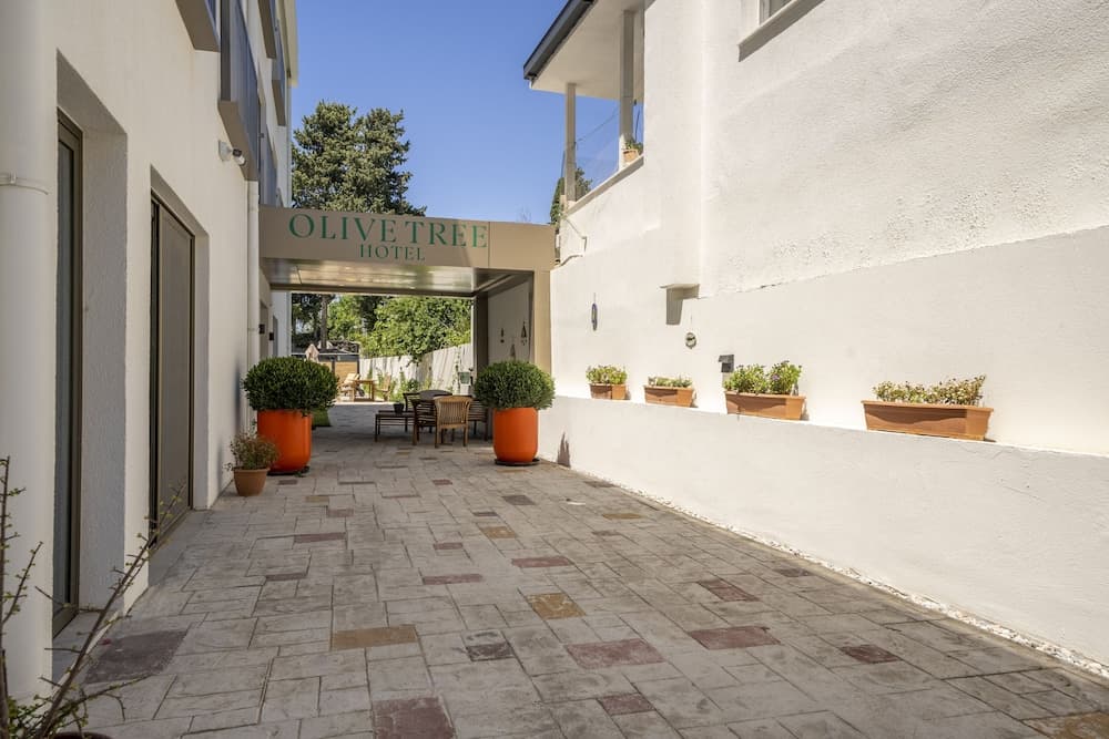 Olive Tree Hotel - Image 1