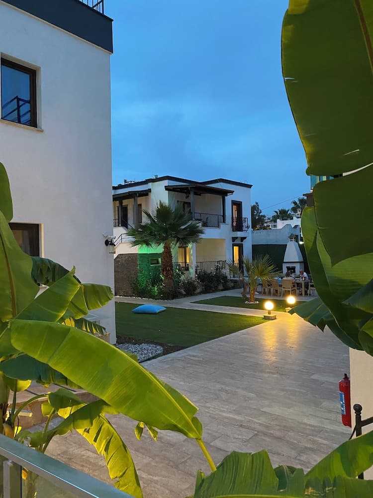 Orya Apart - Image 1