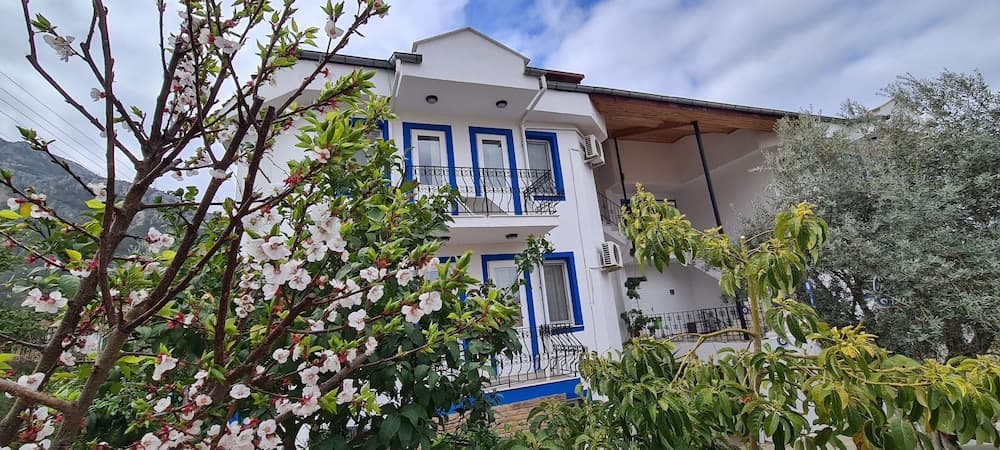 California Apart Otel fotoğrafı