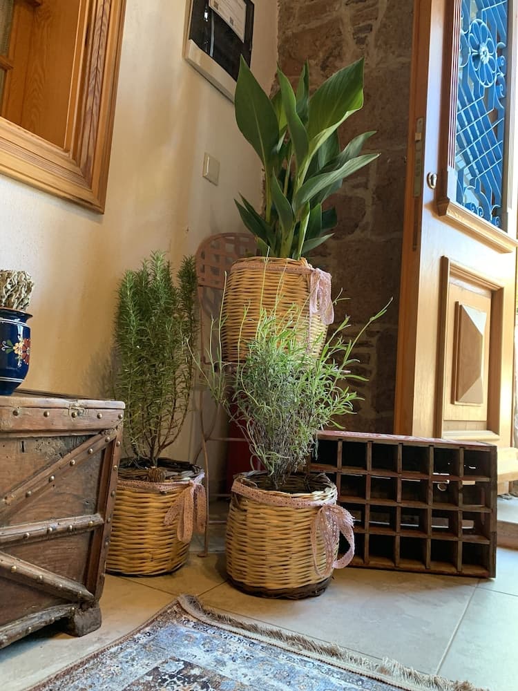 Fragrante Otel - Yetişkinlere Özel - Image 2