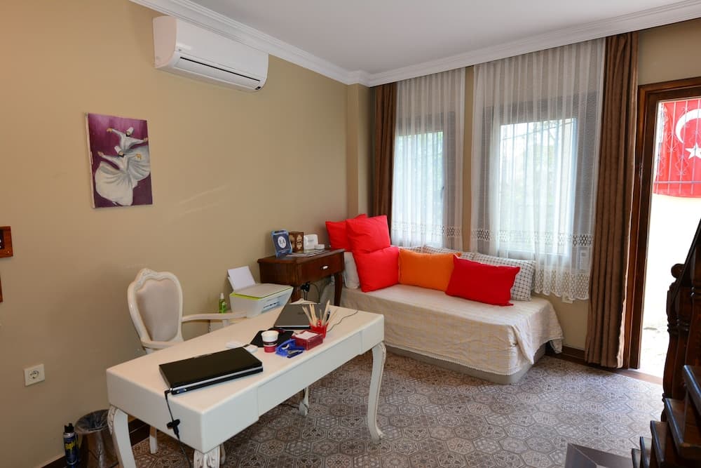 Hayriye Hanim Ege - Image 2