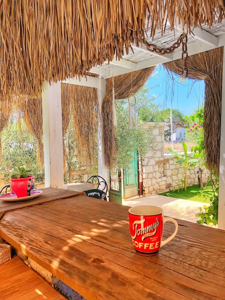 Temucin Otel fotoğrafı