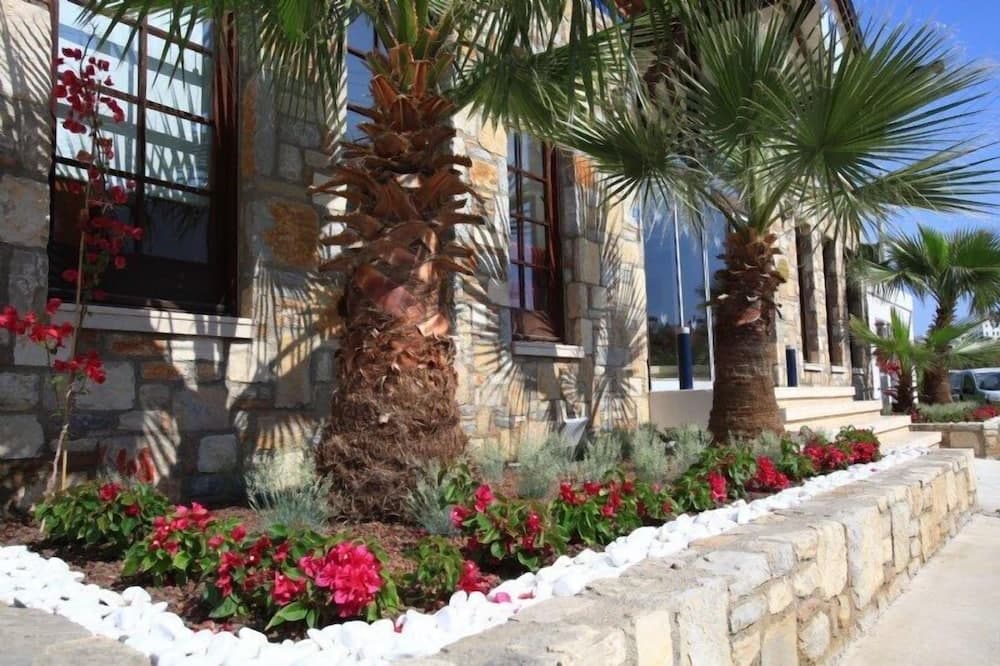 Club Paloma Apart - Image 1