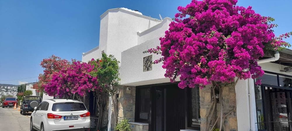 Ayhan Suite Otel - Image 1