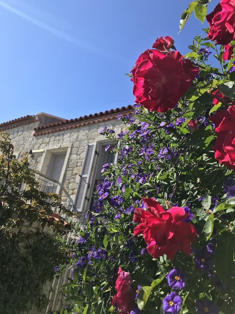 Alacati Cona Boutique Otel fotoğrafı