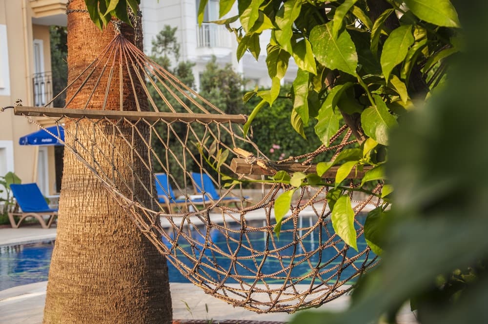 Turtle Apart Otel - Image 1