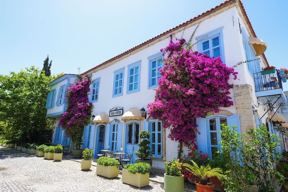 Tas Otel fotoğrafı