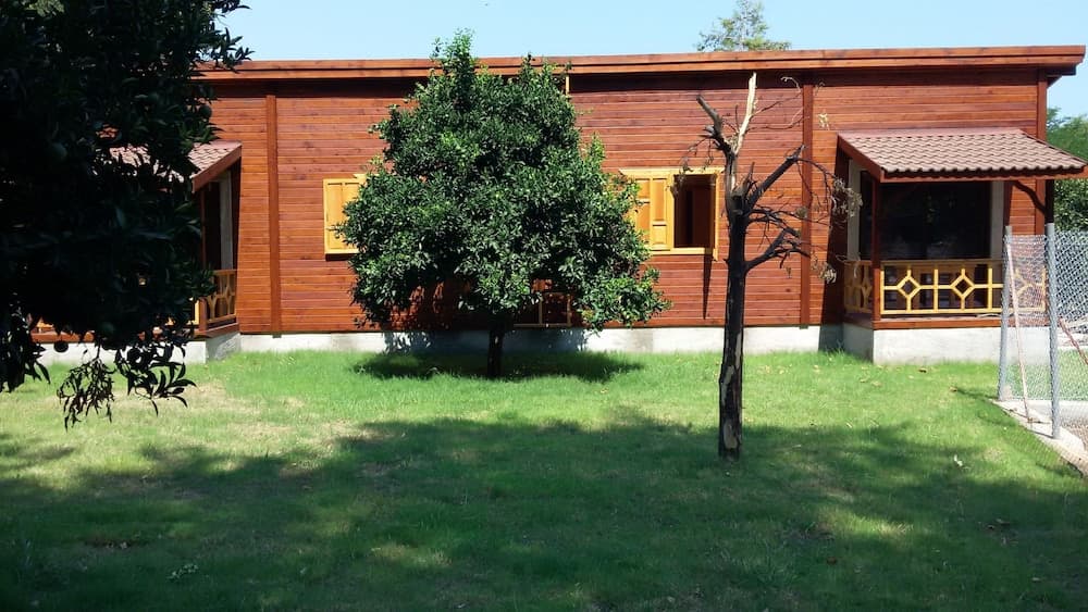 Maji Köyü - Image 3