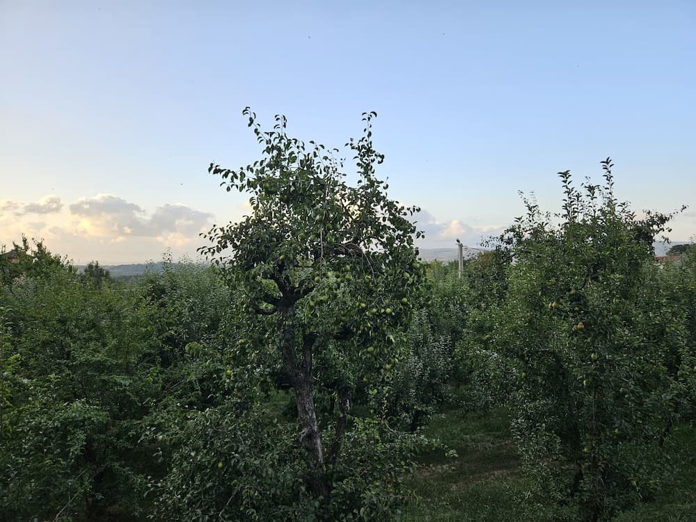 Teona Kartepe Bungalov - Image 2