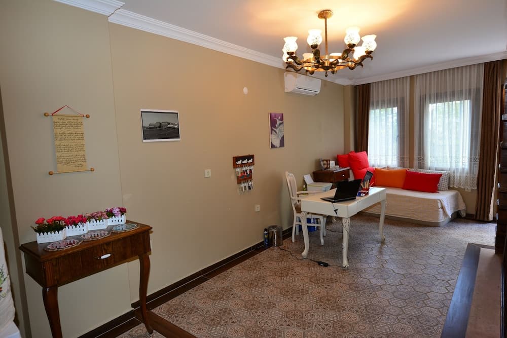 Hayriye Hanim Ege - Image 3