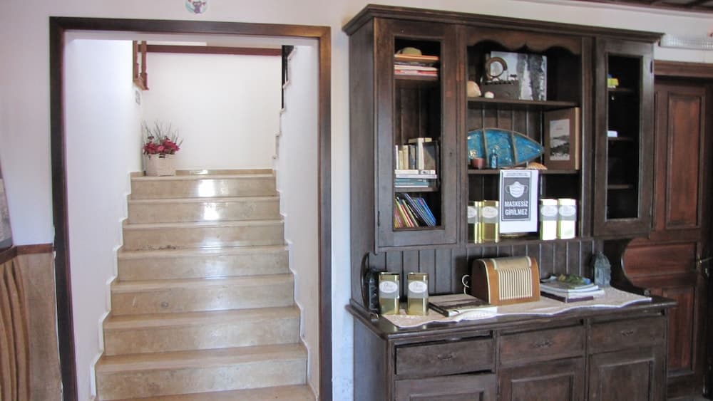 Aliye Hanım - Image 4