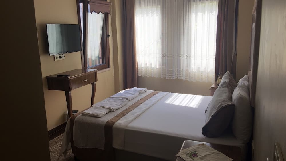 Hayriye Hanim Ege - Image 4